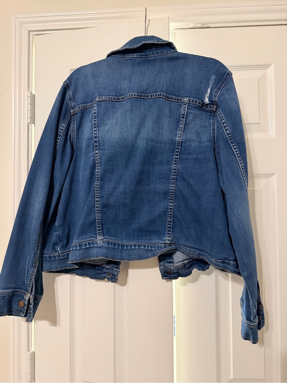Lane Bryant Medium Blue Denim Jean Jacket - Picture 3 of 3